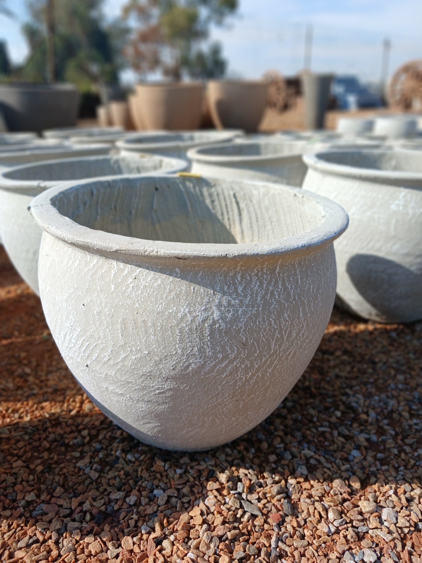 Plain Concrete Pot With Lip - Pot 2