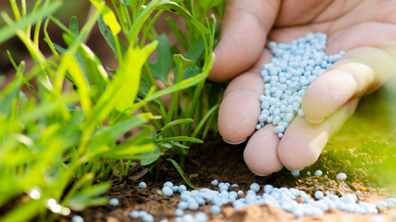 Fertilizers