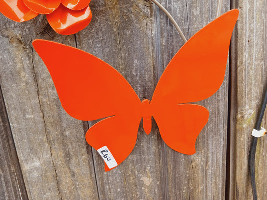 Butterfly Basic Design Wall Decor