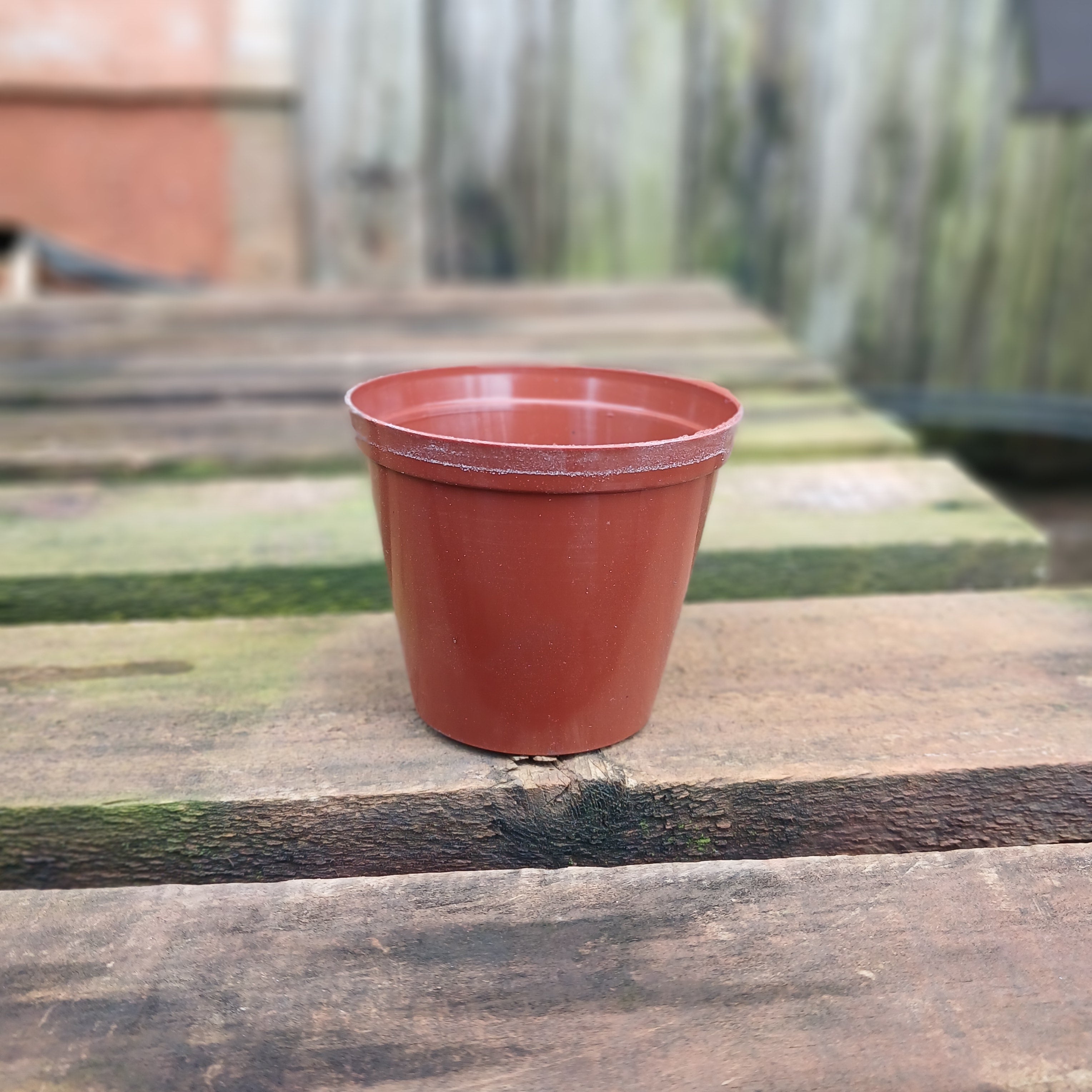 Plastic Terra Cotta Pot 8cm