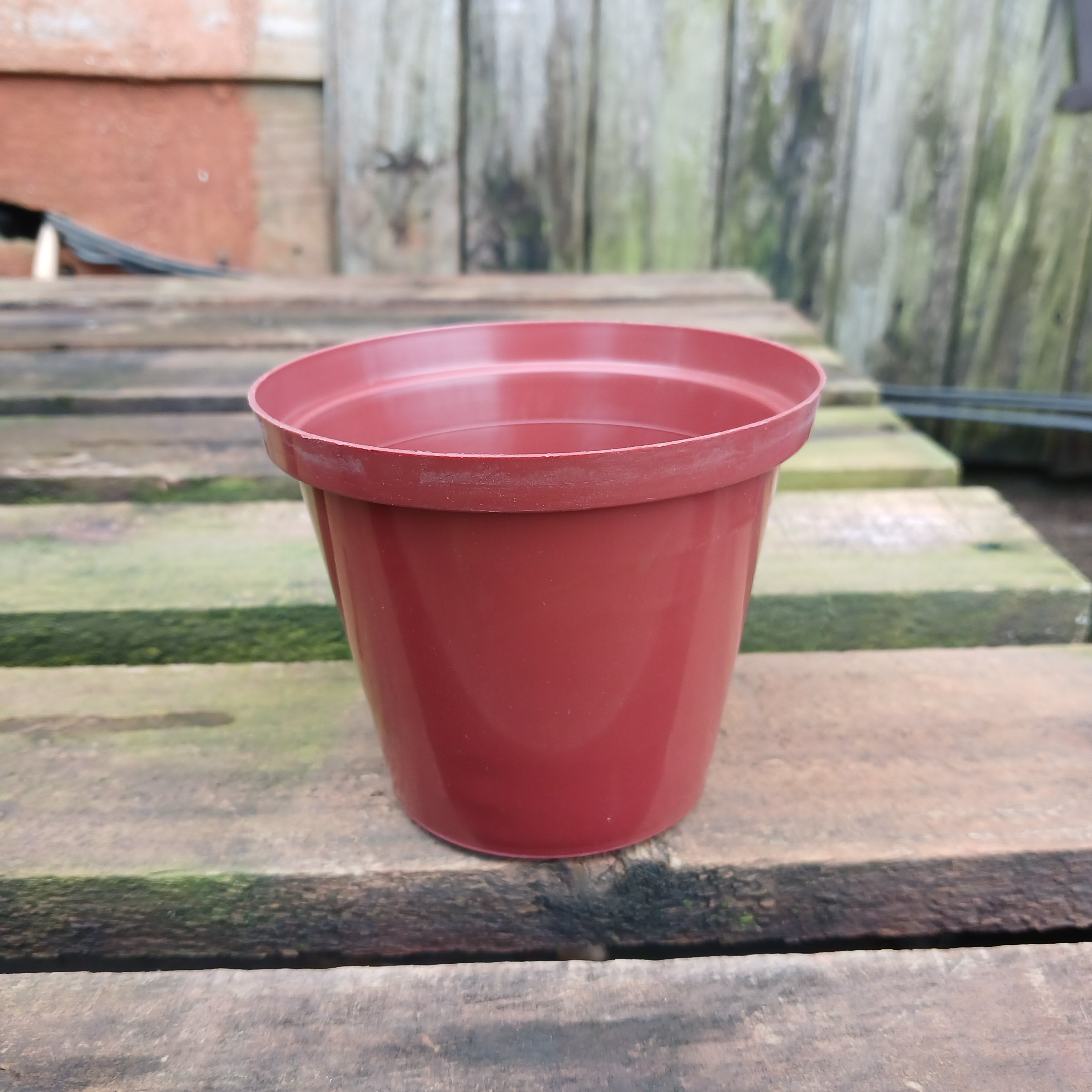 Plastic Terra Cotta Pot 10cm
