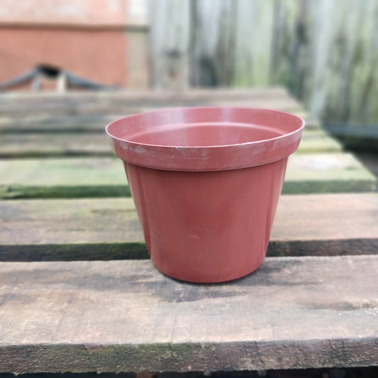 Plastic Terra Cotta Pot 12cm