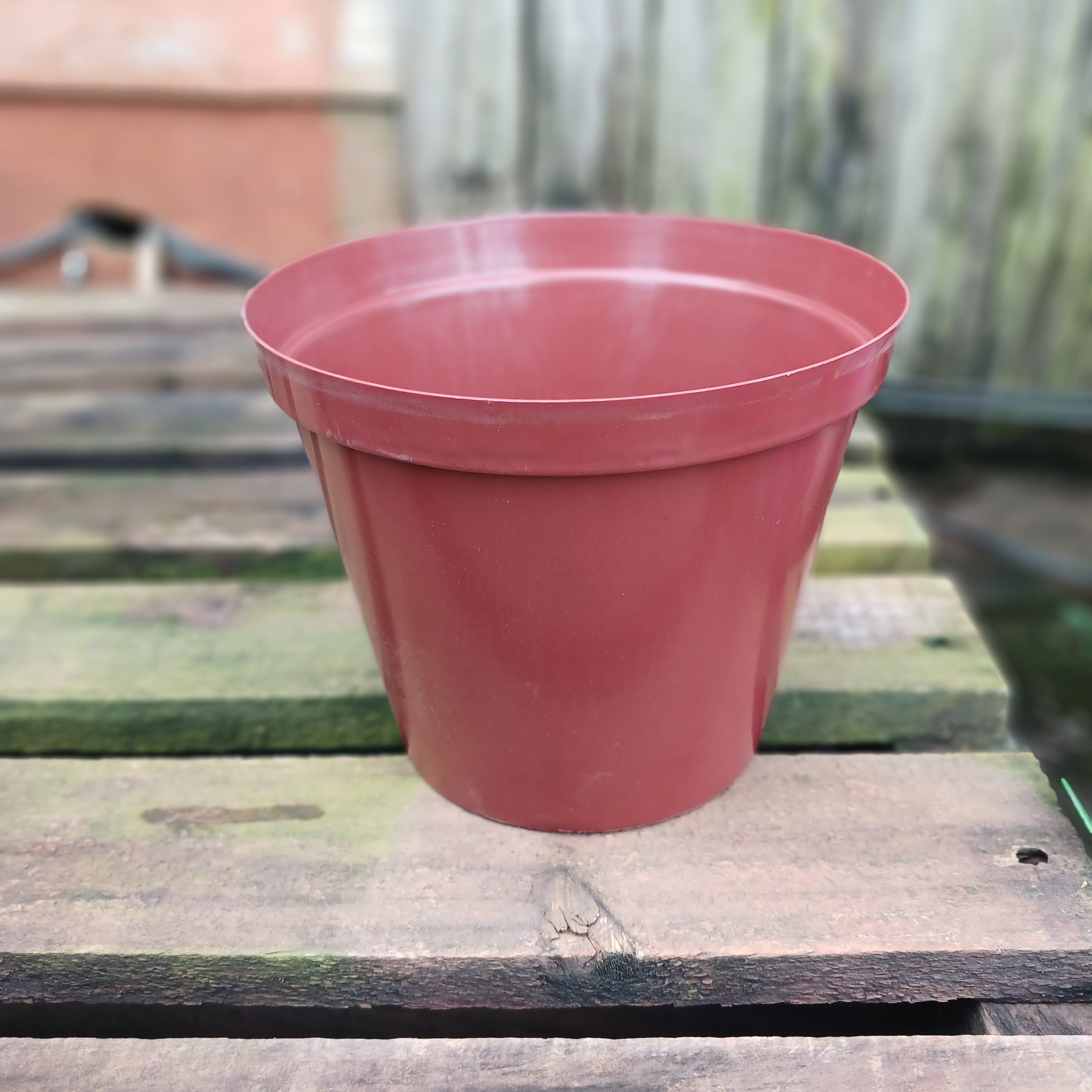 Plastic Terra Cotta Pot 15cm