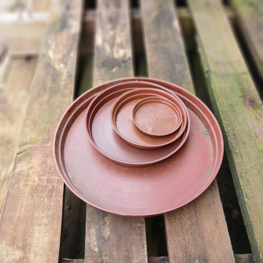 Plastic Terra Cotta Trays