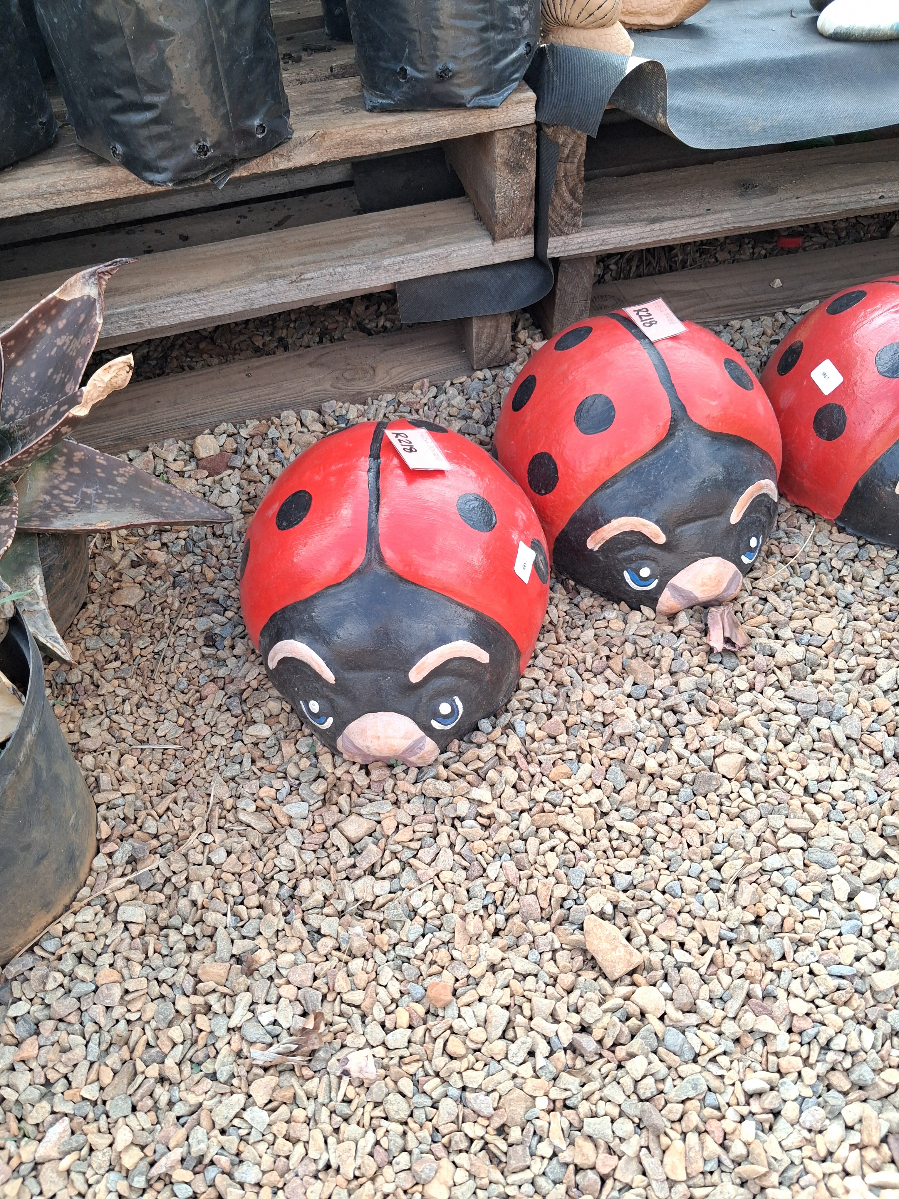 Concrete Decorative Ladybug (BBS2)