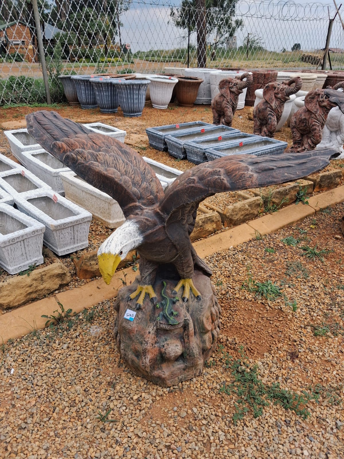 Big Painted Eagle Feature Statue (CALW133)