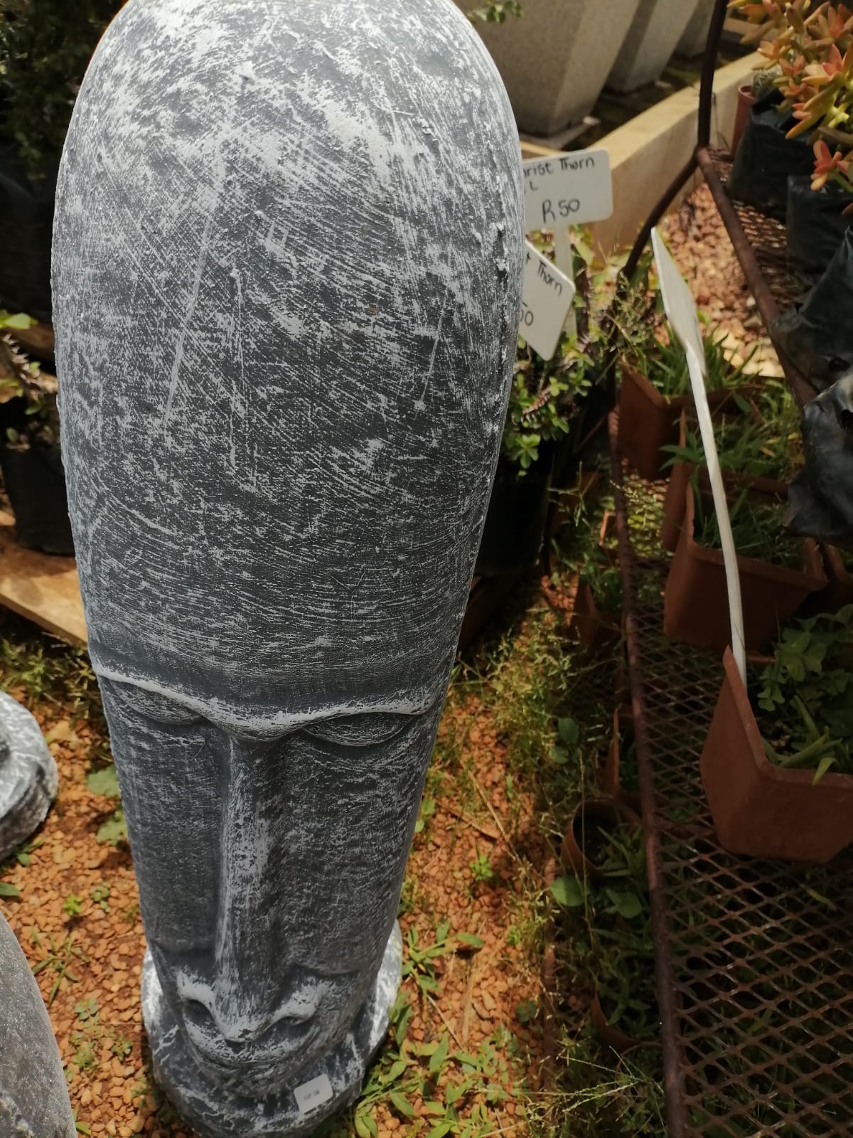 Concrete Décor Face – Grey(CAP156)