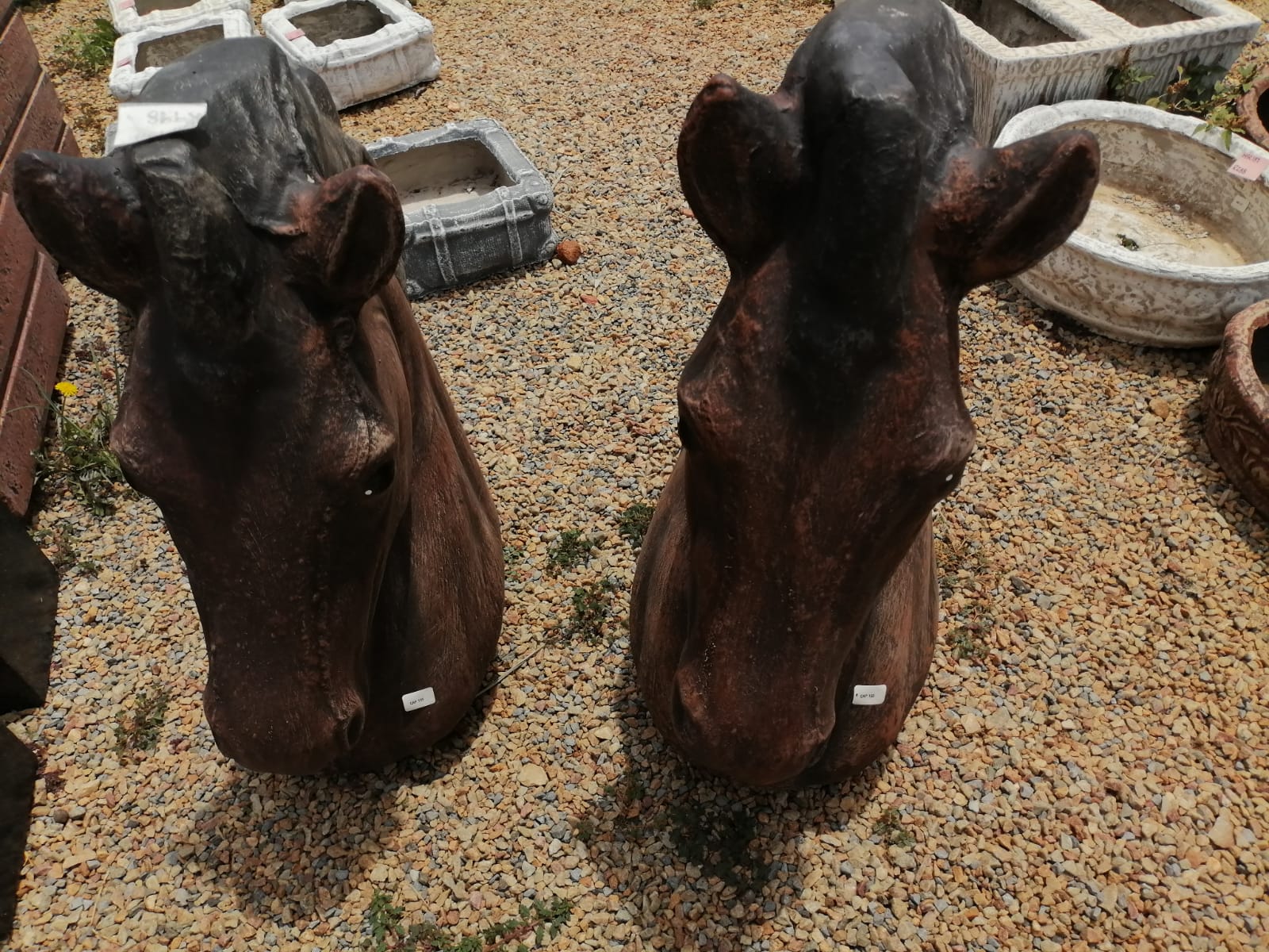 Concrete Decorative Horse Head (CAP159)