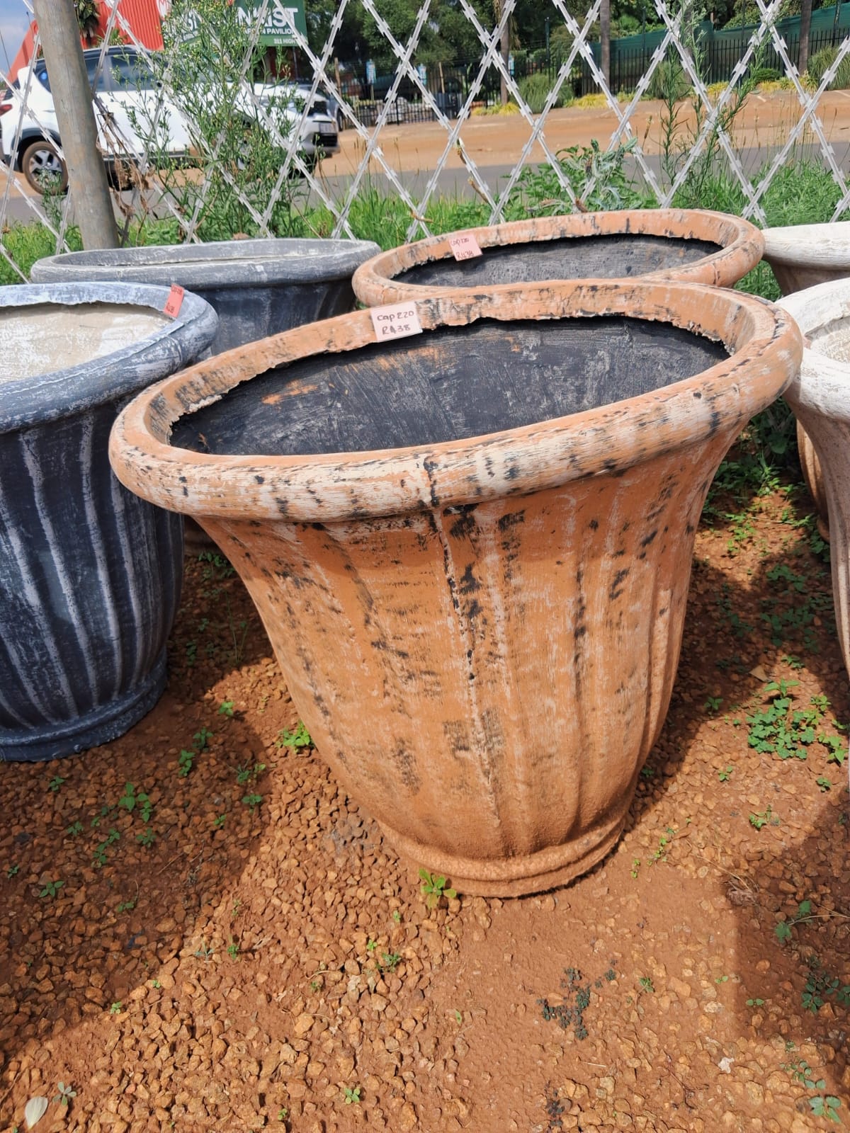 Large Marula Cup-Designed Pot (CAP220)