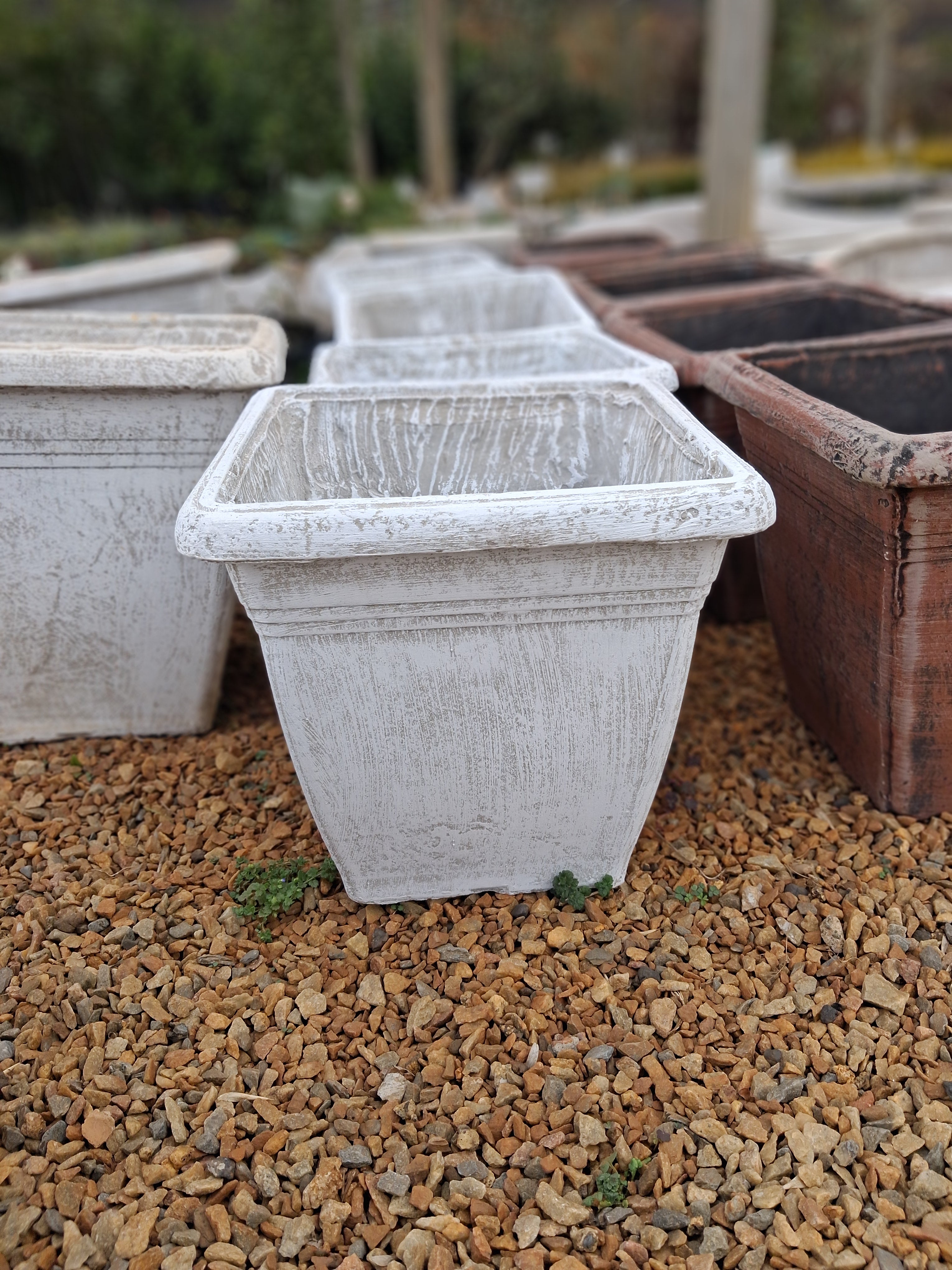 Medium Square Concrete Pot – White (CAP292)