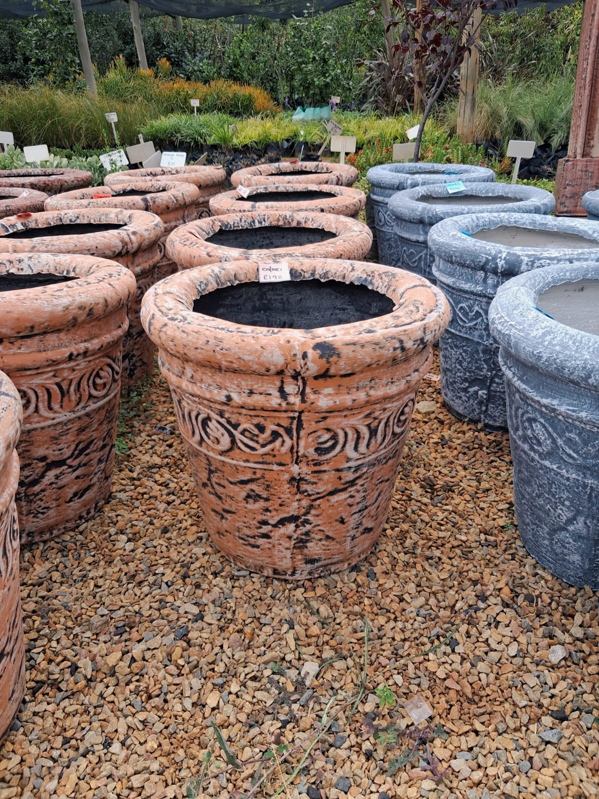 Small Round Feature Pot – Marula (CA/WC1)