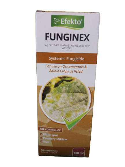 Funginex 100ML
