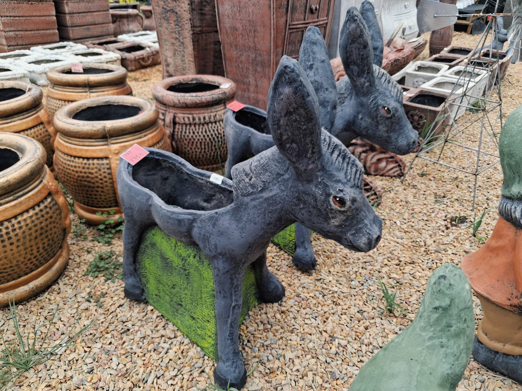 Donkey Pot Planters – Painted (Y43)
