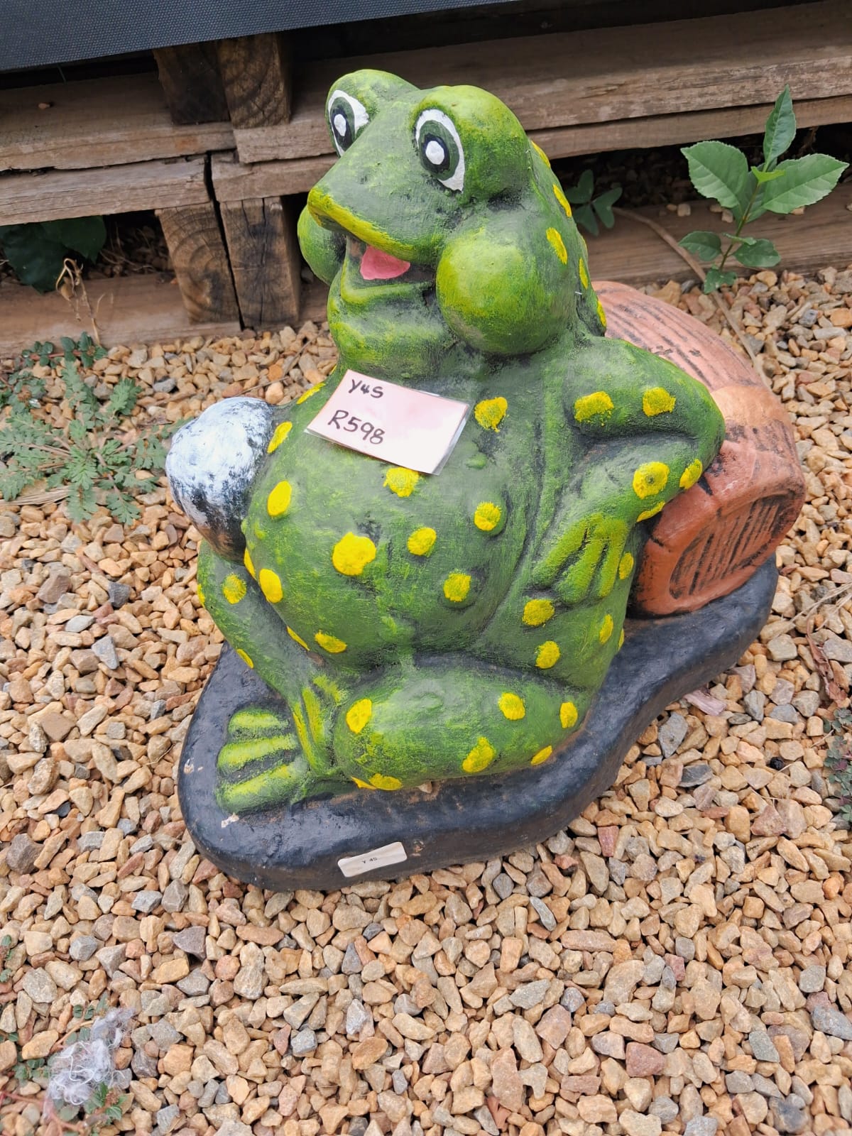Frog Resting on Rock – Painted (Y45)
