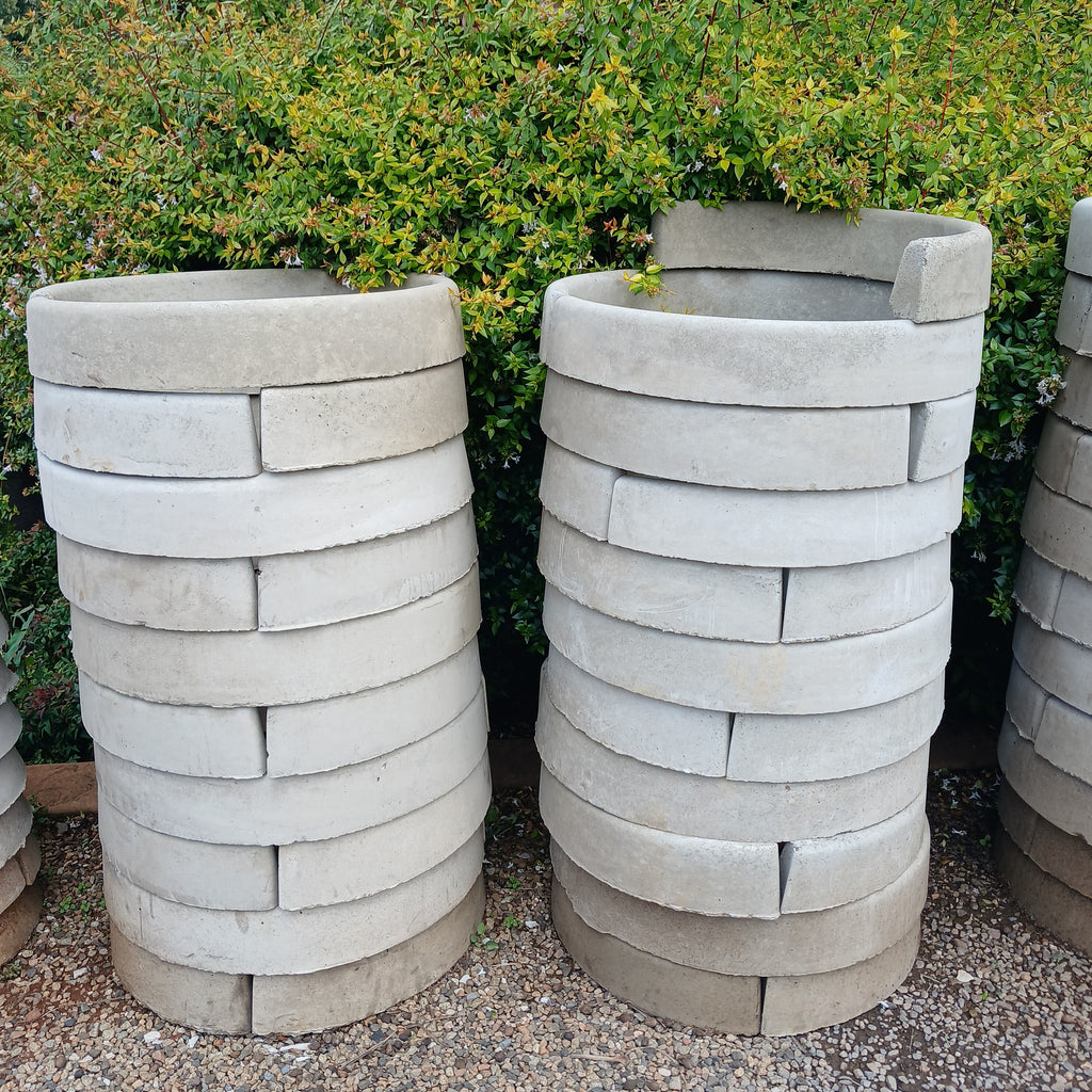 Tree Ring Large – Schubert Landscapes